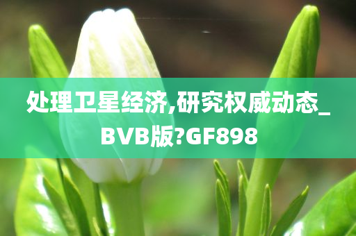 处理卫星经济,研究权威动态_BVB版?GF898