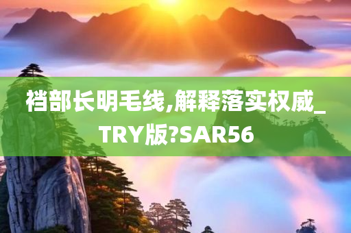 裆部长明毛线,解释落实权威_TRY版?SAR56