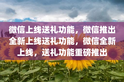 微信上线送礼功能，微信推出全新上线送礼功能，微信全新上线，送礼功能重磅推出