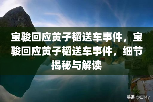 宝骏回应黄子韬送车事件，宝骏回应黄子韬送车事件，细节揭秘与解读