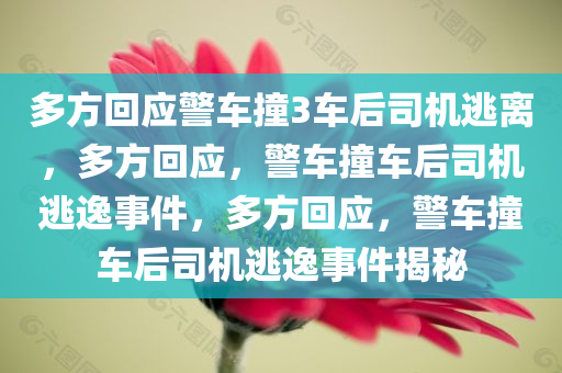 多方回应警车撞3车后司机逃离，多方回应，警车撞车后司机逃逸事件，多方回应，警车撞车后司机逃逸事件揭秘