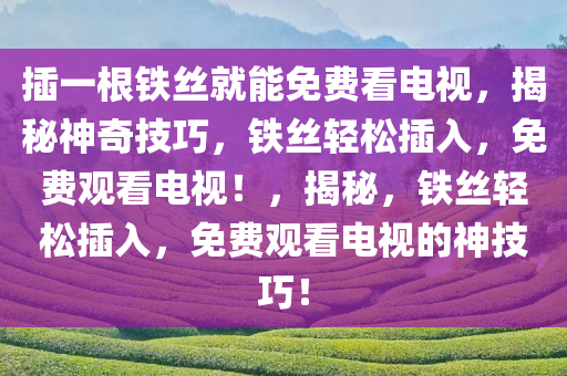 插一根铁丝就能免费看电视，揭秘神奇技巧，铁丝轻松插入，免费观看电视！，揭秘，铁丝轻松插入，免费观看电视的神技巧！