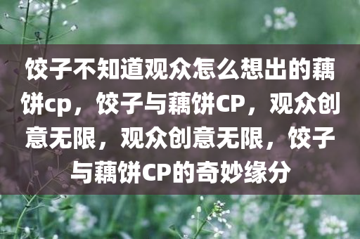 饺子不知道观众怎么想出的藕饼cp，饺子与藕饼CP，观众创意无限，观众创意无限，饺子与藕饼CP的奇妙缘分