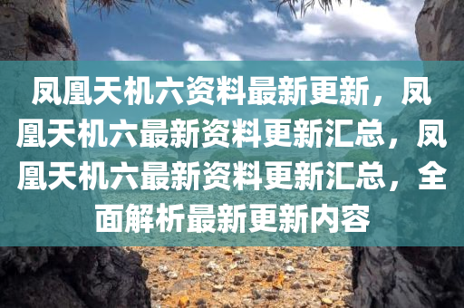 凤凰天机六资料最新更新，凤凰天机六最新资料更新汇总，凤凰天机六最新资料更新汇总，全面解析最新更新内容