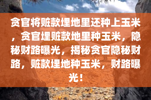 贪官将赃款埋地里还种上玉米，贪官埋赃款地里种玉米，隐秘财路曝光，揭秘贪官隐秘财路，赃款埋地种玉米，财路曝光！