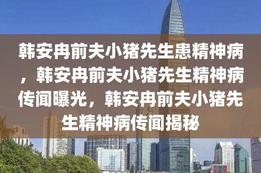 韩安冉前夫小猪先生患精神病，韩安冉前夫小猪先生精神病传闻曝光，韩安冉前夫小猪先生精神病传闻揭秘