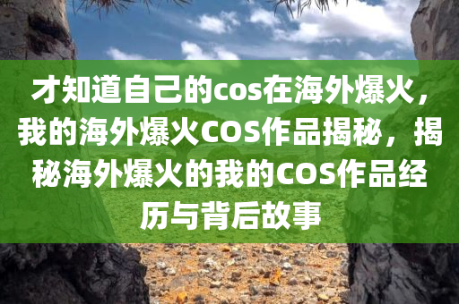 才知道自己的cos在海外爆火，我的海外爆火COS作品揭秘，揭秘海外爆火的我的COS作品经历与背后故事