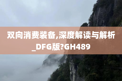 双向消费装备,深度解读与解析_DFG版?GH489