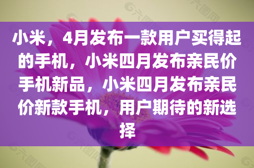 小米：4月发布一款用户买得起的手机