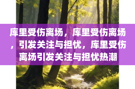 库里受伤离场，库里受伤离场，引发关注与担忧，库里受伤离场引发关注与担忧热潮