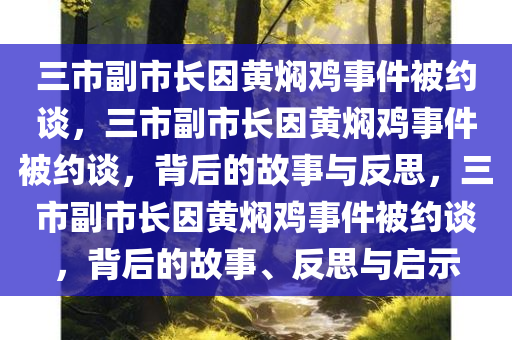 三市副市长因黄焖鸡事件被约谈，三市副市长因黄焖鸡事件被约谈，背后的故事与反思，三市副市长因黄焖鸡事件被约谈，背后的故事、反思与启示