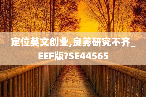 定位英文创业,良莠研究不齐_EEF版?SE44565