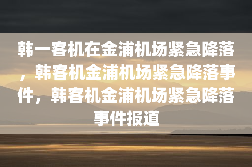 韩一客机在金浦机场紧急降落，韩客机金浦机场紧急降落事件，韩客机金浦机场紧急降落事件报道