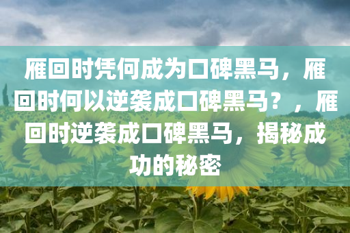 雁回时凭何成为口碑黑马，雁回时何以逆袭成口碑黑马？，雁回时逆袭成口碑黑马，揭秘成功的秘密