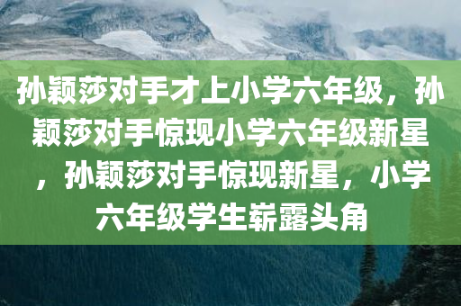 孙颖莎对手才上小学六年级，孙颖莎对手惊现小学六年级新星，孙颖莎对手惊现新星，小学六年级学生崭露头角