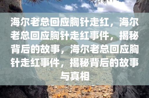 海尔老总回应胸针走红，海尔老总回应胸针走红事件，揭秘背后的故事，海尔老总回应胸针走红事件，揭秘背后的故事与真相