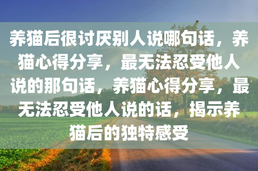 养猫后很讨厌别人说哪句话，养猫心得分享，最无法忍受他人说的那句话，养猫心得分享，最无法忍受他人说的话，揭示养猫后的独特感受