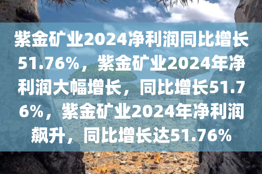 紫金矿业2024净利润同比增长51.76%