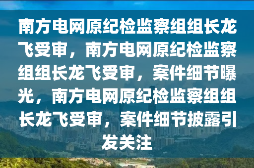 南方电网原纪检监察组组长龙飞受审