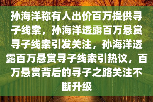 孙海洋称有人出价百万提供寻子线索，孙海洋透露百万悬赏寻子线索引发关注，孙海洋透露百万悬赏寻子线索引热议，百万悬赏背后的寻子之路关注不断升级