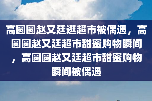 高圆圆赵又廷逛超市被偶遇