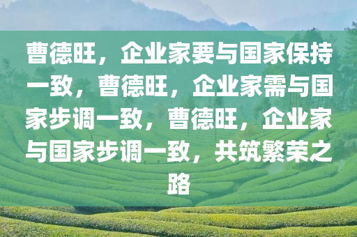 曹德旺，企业家要与国家保持一致，曹德旺，企业家需与国家步调一致，曹德旺，企业家与国家步调一致，共筑繁荣之路