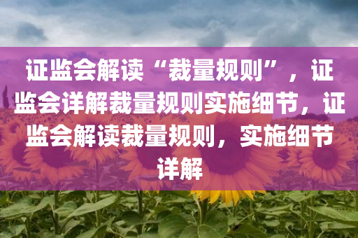 证监会解读“裁量规则”，证监会详解裁量规则实施细节，证监会解读裁量规则，实施细节详解