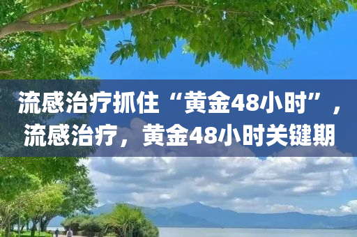 流感治疗抓住“黄金48小时”，流感治疗，黄金48小时关键期