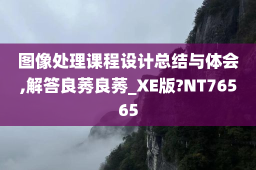 图像处理课程设计总结与体会,解答良莠良莠_XE版?NT76565