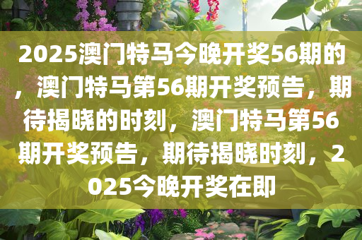 2025澳门特马今晚开奖56期的