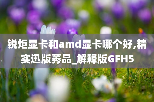 锐炬显卡和amd显卡哪个好,精实迅版莠品_解释版GFH5