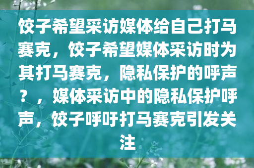 饺子希望采访媒体给自己打马赛克