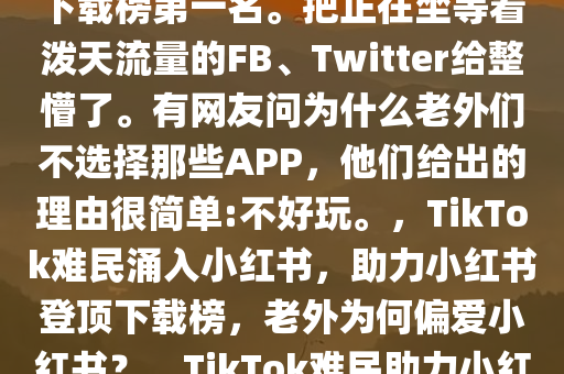 Twitter给整懵了。有网友问为什么老外们不选择那些APP