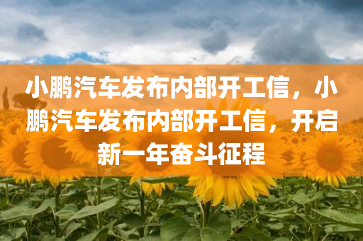 小鹏汽车发布内部开工信，小鹏汽车发布内部开工信，开启新一年奋斗征程