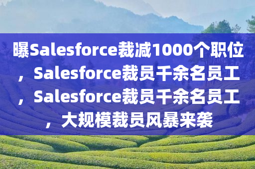 曝Salesforce裁减1000个职位，Salesforce裁员千余名员工，Salesforce裁员千余名员工，大规模裁员风暴来袭