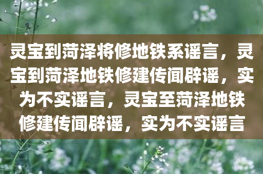 灵宝到菏泽将修地铁系谣言，灵宝到菏泽地铁修建传闻辟谣，实为不实谣言，灵宝至菏泽地铁修建传闻辟谣，实为不实谣言今晚必出三肖2025_2025新澳门精准免费提供·精确判断