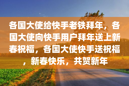 各国大使给快手老铁拜年，各国大使向快手用户拜年送上新春祝福，各国大使快手送祝福，新春快乐，共贺新年