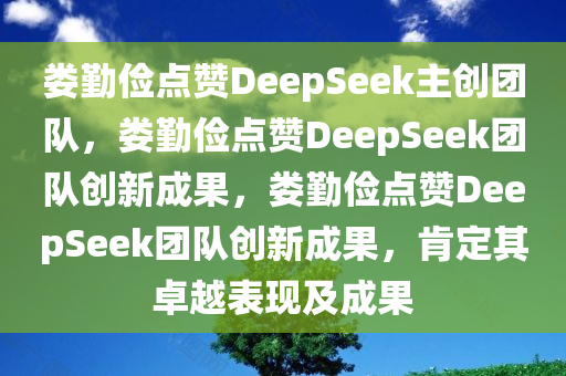 娄勤俭点赞DeepSeek主创团队，娄勤俭点赞DeepSeek团队创新成果，娄勤俭点赞DeepSeek团队创新成果，肯定其卓越表现及成果