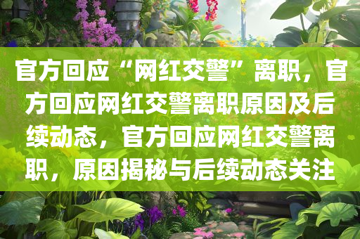 官方回应“网红交警”离职，官方回应网红交警离职原因及后续动态，官方回应网红交警离职，原因揭秘与后续动态关注