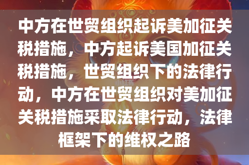 中方在世贸组织起诉美加征关税措施