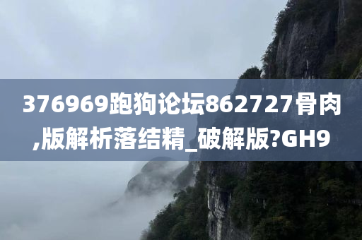 376969跑狗论坛862727骨肉,版解析落结精_破解版?GH9