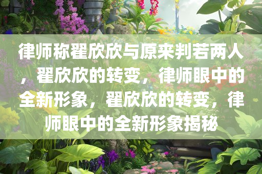 律师称翟欣欣与原来判若两人