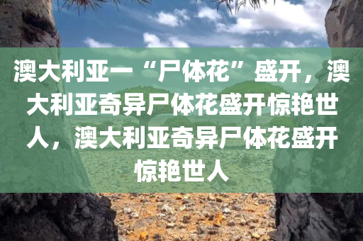 澳大利亚一“尸体花”盛开，澳大利亚奇异尸体花盛开惊艳世人，澳大利亚奇异尸体花盛开惊艳世人