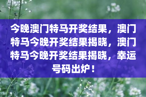 今晚澳门特马开奖结果，澳门特马今晚开奖结果揭晓，澳门特马今晚开奖结果揭晓，幸运号码出炉！