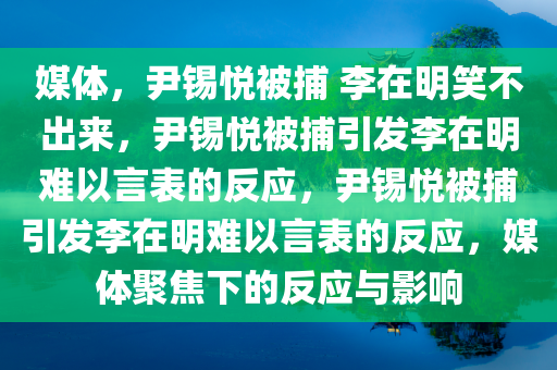 媒体，尹锡悦被捕 李在明笑不出来，尹锡悦被捕引发李在明难以言表的反应，尹锡悦被捕引发李在明难以言表的反应，媒体聚焦下的反应与影响