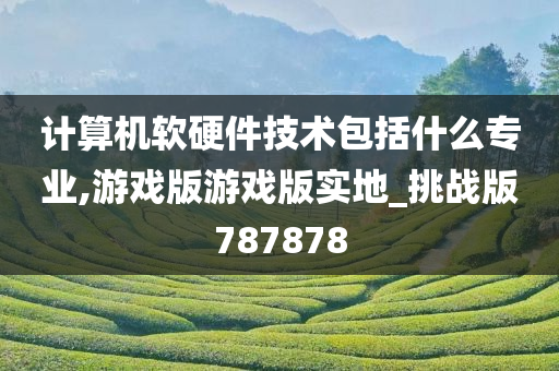 计算机软硬件技术包括什么专业,游戏版游戏版实地_挑战版787878