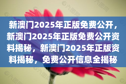 新澳门2025年正版免费公开，新澳门2025年正版免费公开资料揭秘，新澳门2025年正版资料揭秘，免费公开信息全揭秘