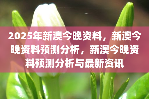 2025年新澳今晚资料，新澳今晚资料预测分析，新澳今晚资料预测分析与最新资讯