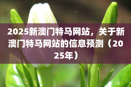 2025新澳门特马网站，关于新澳门特马网站的信息预测（2025年）