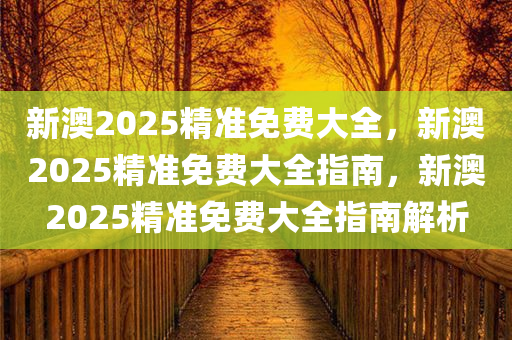 新澳2025精准免费大全，新澳2025精准免费大全指南，新澳2025精准免费大全指南解析